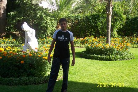 ayoub